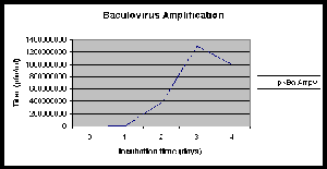 Baculovirus amplification
